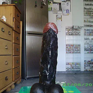 20x5 Galeriebild