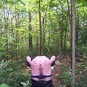 Small cock in the woods gallery image