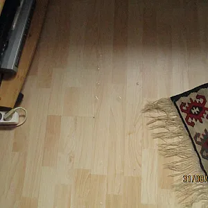 messed up the floor gallery image