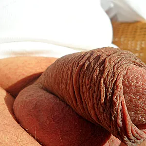 my dick 4 gallery image