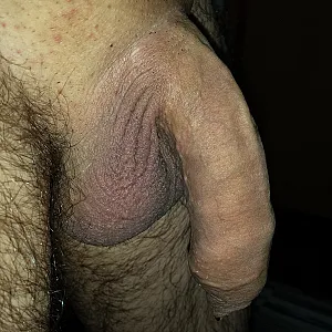 lonely cock gallery image