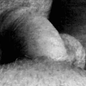 Momenti libidinosi Galeriebild