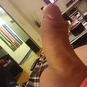 cockparade gallery image