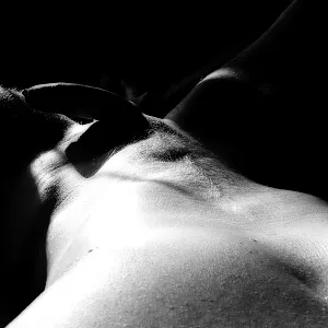 ..... gallery image