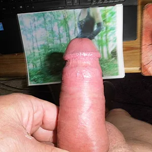mixed pics gallery image