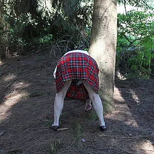 in the woods 2 gallery image