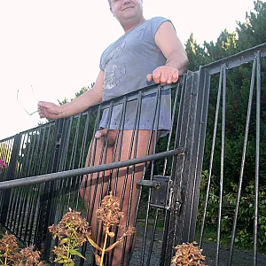 Gartenzaun Galeriebild