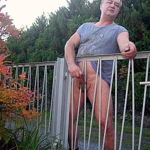 Gartenzaun Galeriebild
