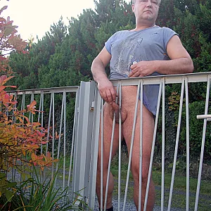 Gartenzaun Galeriebild