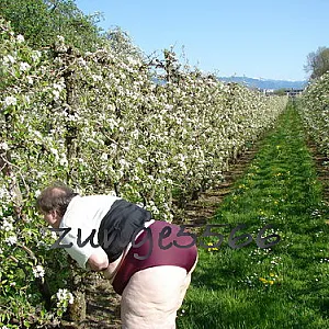 Frühling Galeriebild