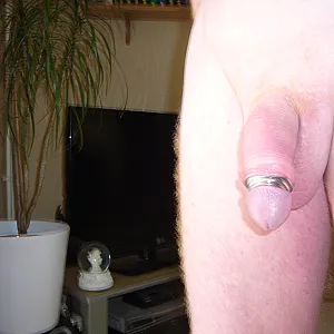 Cock of the rings gallery image