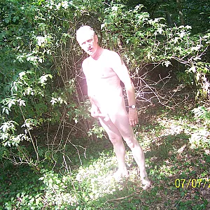 War mal wieder im Wald Galeriebild