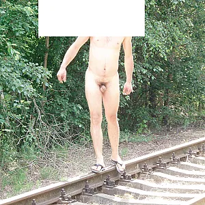zd Galeriebild