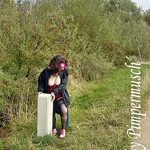 springholiday II gallery image