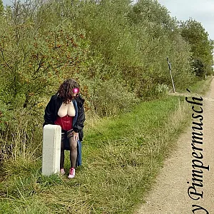 springholiday II gallery image