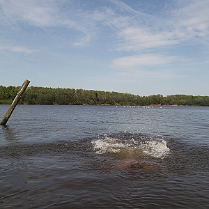 Nude at lake gallery image