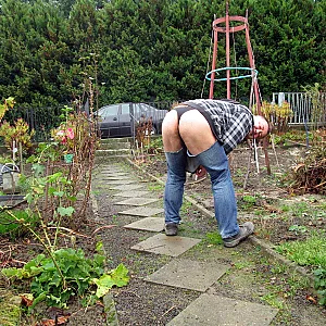 gardenwork in the autumn gallery image