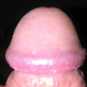 close up gallery image