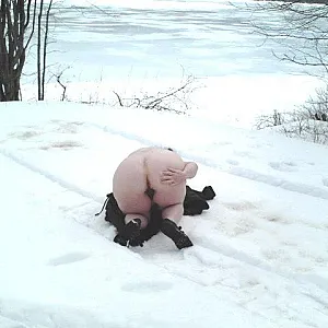 Bugaloo snow 8 Galeriebild