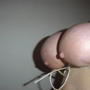 Bondage gallery image