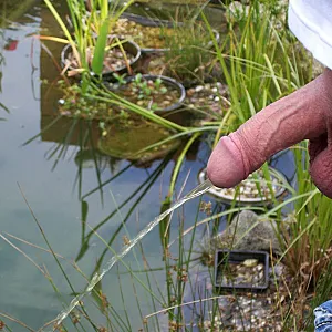 NS in den Teich Galeriebild