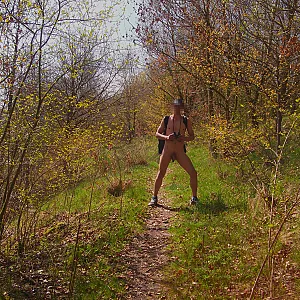 spring walk gallery image
