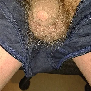Mein kleiner geiler Schwanz Galeriebild