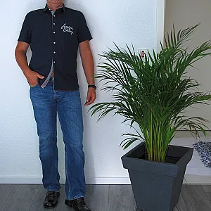 Ein kleiner Strip Galeriebild