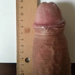 Vorstellung Galeriebild
