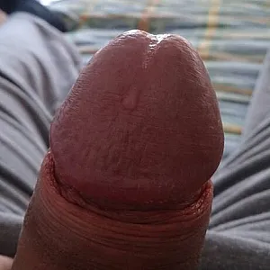 some pics from the chat gallery image