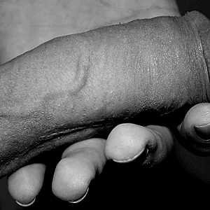 My Cock gallery image