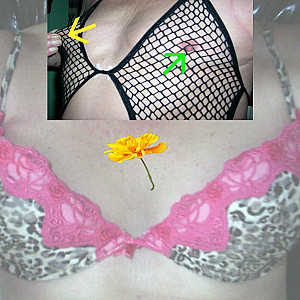 I love sexy Dessous! Galeriebild