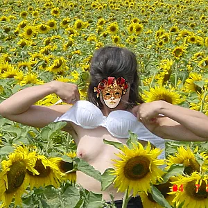sun gallery image