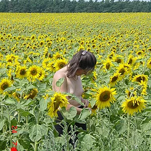 sun gallery image