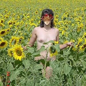 sun gallery image