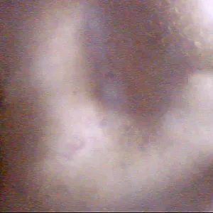 photos from me gallery image