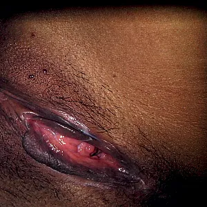 in the net of passion gallery image