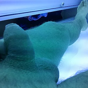 my cock gallery image