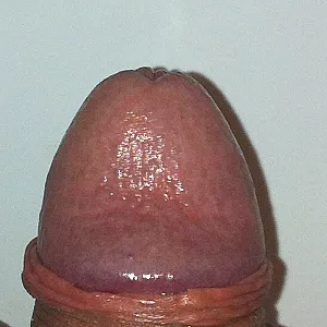 mixed pics gallery image