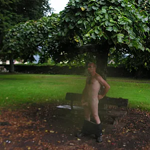 un tour en foret Galeriebild