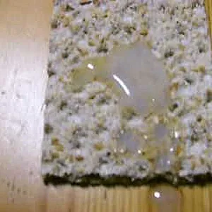 dinner gallery image