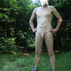 wald 2015 Galeriebild
