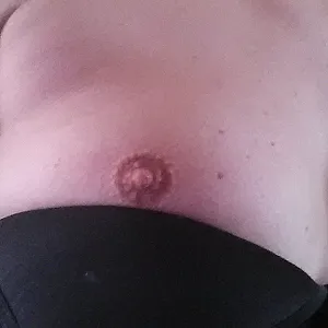 meine kleinen Tittis 2 Galeriebild