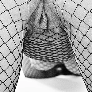 butt and pussy in fishnet gallery image