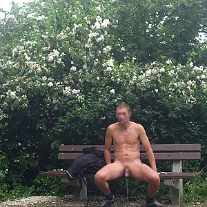 Strip im Park Galeriebild