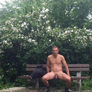 Strip im Park Galeriebild