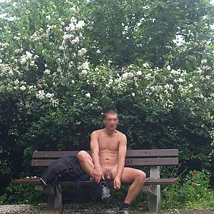Strip im Park Galeriebild
