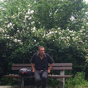 Strip im Park Galeriebild