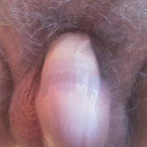 my cock gallery image