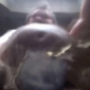POV - Abspritzen und Pissen Galeriebild